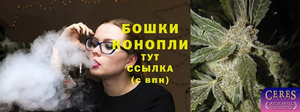 гидропоника Горнозаводск