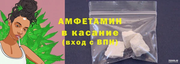 PSILOCYBIN Вяземский