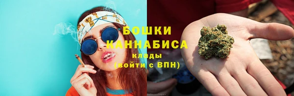гидропоника Горнозаводск