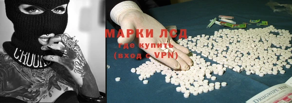 гидропоника Горнозаводск