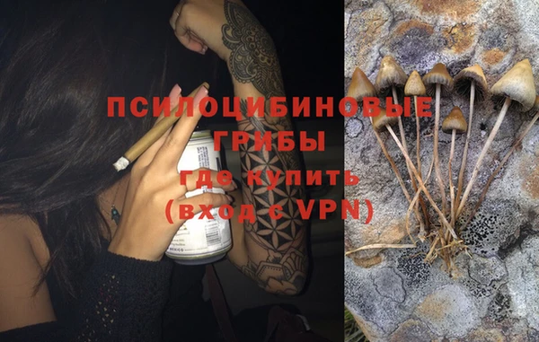 крисы Вязьма