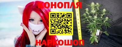 СК Гагарин