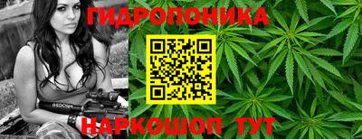 первитин Гатчина