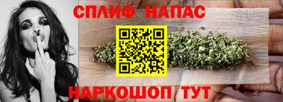 СК Гагарин