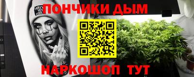 гидра Гай