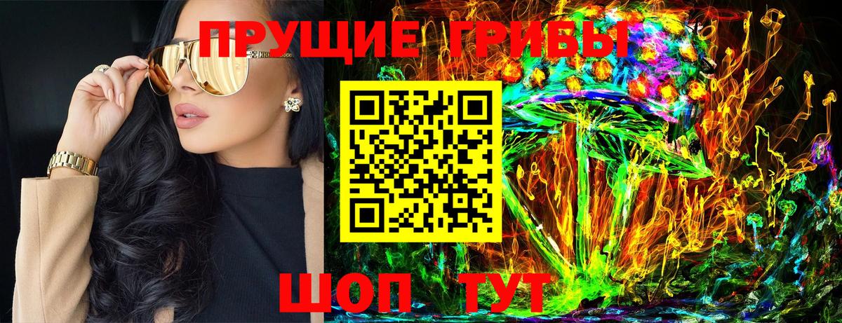 Псилоцибиновые грибы Psilocybe Набережные Челны